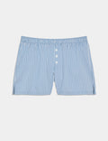 Blue Stripe