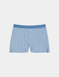 Blue Stripe